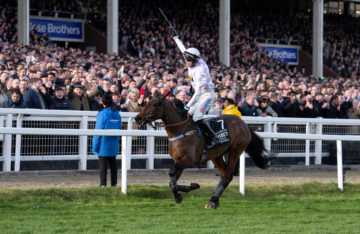 Racing Post tweet media