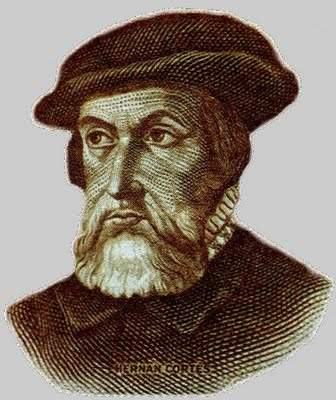 Media image