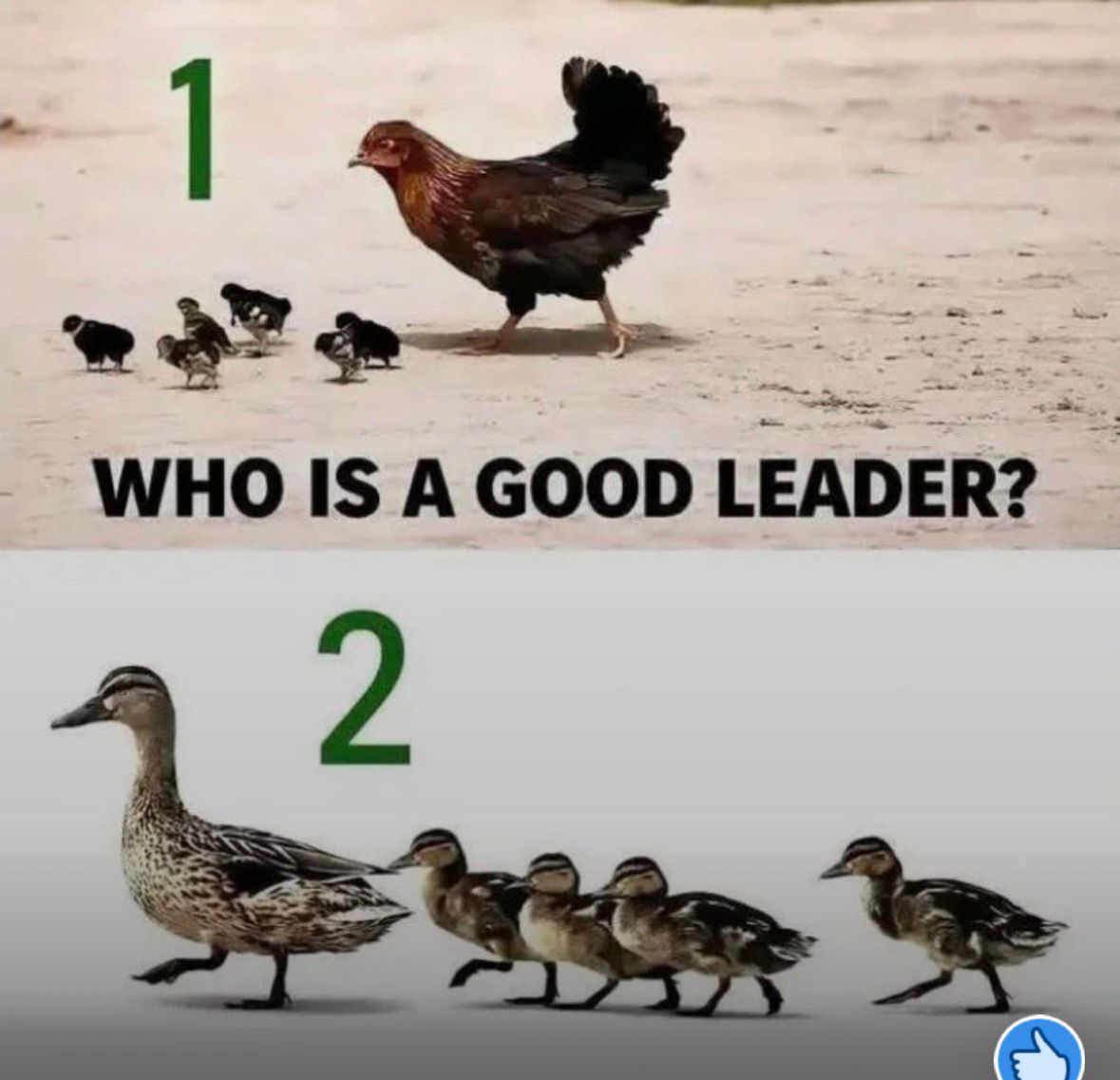 Hon Mbusa Jodra Isebakyira (@jodrapro) on Twitter photo 