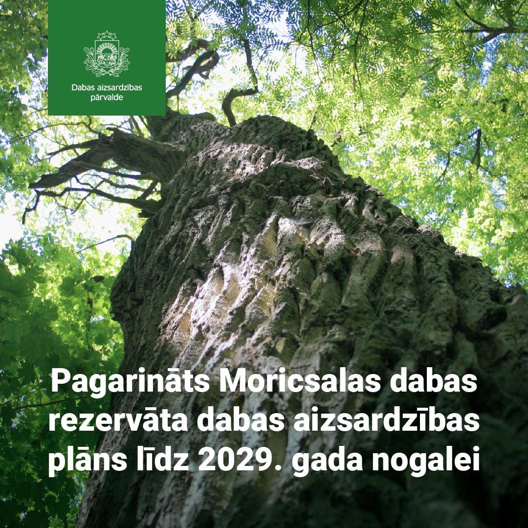 Dabas aizsardzības pārvalde tweet media