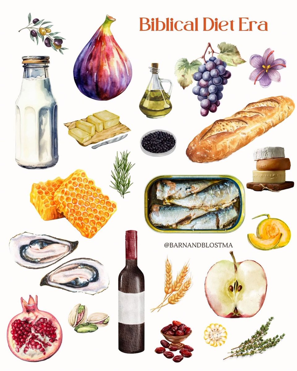 "There isn't a biblical diet"...

Raw milk is mentioned 50 times.
Meat 290 times.
Sourdough Bread 360 times.
Pomegranates 33 times
Figs 55 times.
Fish 40 times.
Raw Honey 61 times.
Butter 10 times.
Salt 40 times.
Olive Oil 191 times.

There is a biblical diet.