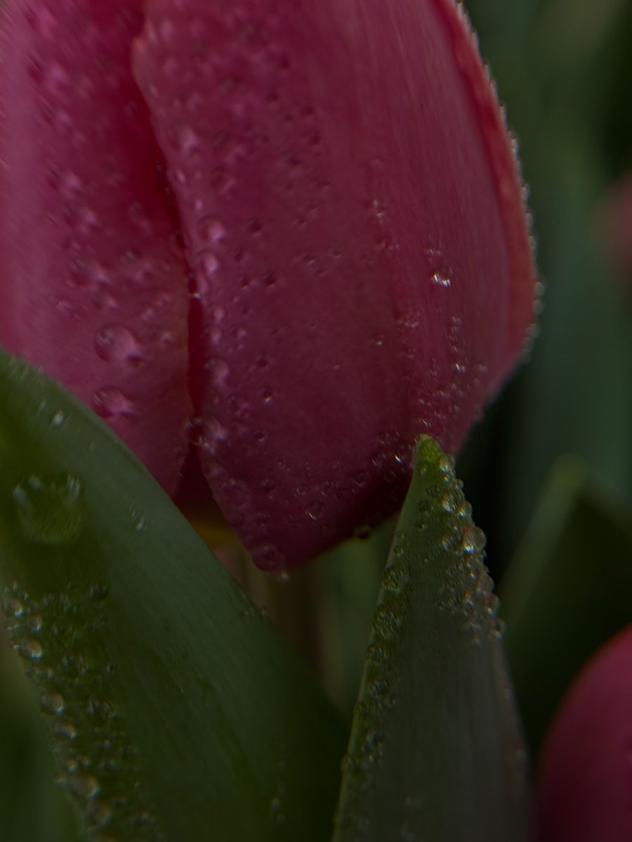 Purely Green tweet media