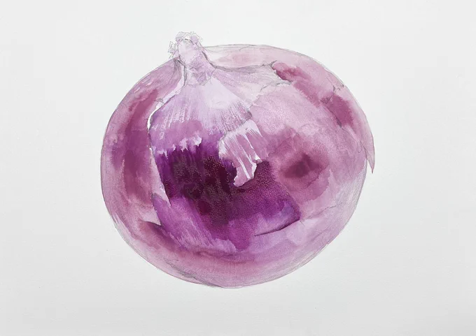 紫玉ねぎの着彩プロセス