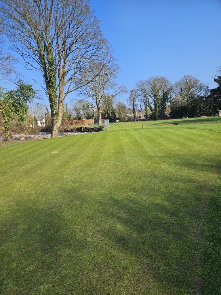 matt lavis tweet media