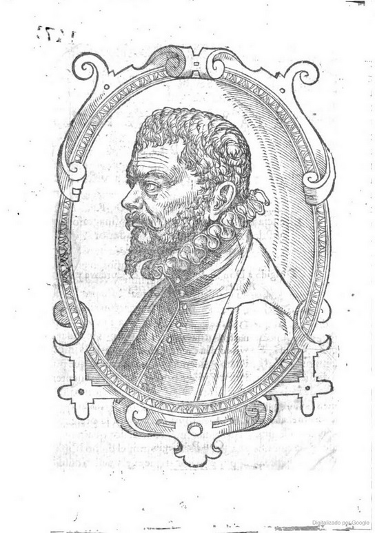 Media image