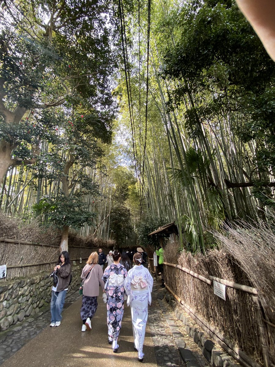 野村拓也 螺鈿職人 (@takuyanomurardn) / Posts / X