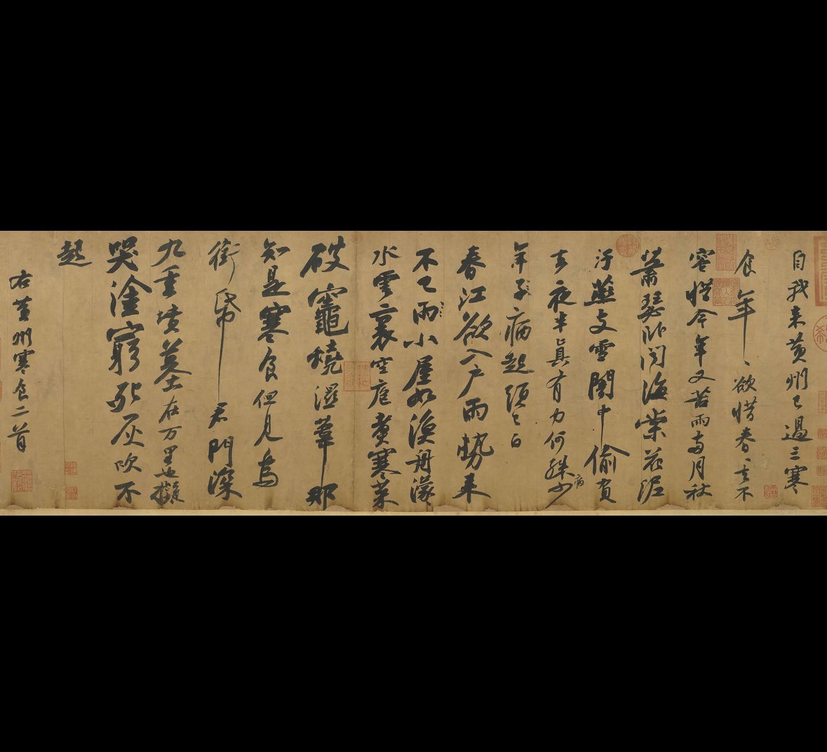 大阪七絃琴館 tweet media