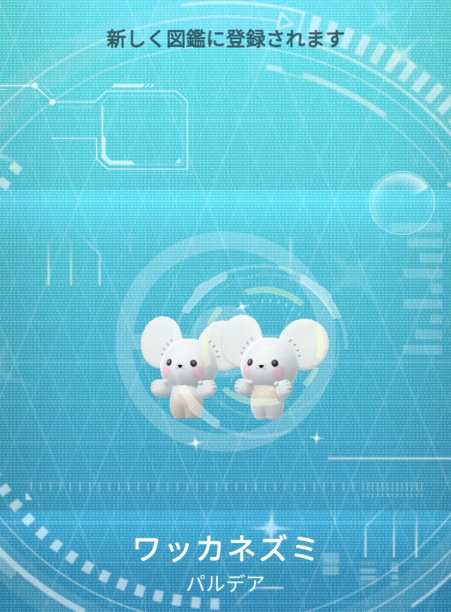 z16o_token's tweet photo. でかい色違いワッカネズミきた〜❣️
(●¯ ꒳¯●)すっごいかわよい✨
 #ポケモンGO色違い
 #ポケモンGO
 #ポケモン好きな人と繋がりたい https://t.co/Z5sG7mRzhQ