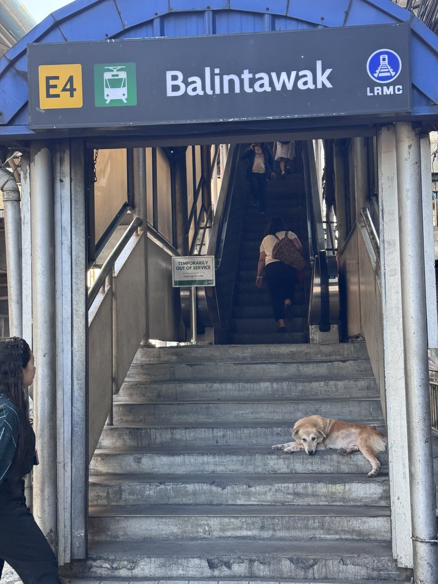 dangmacapagal's tweet photo. @officialLRT1 kailan niyo po aayusin tong escalator sa Balintawak station? More than a month na itong “temporary out of service”. https://t.co/CzbnYeOomt