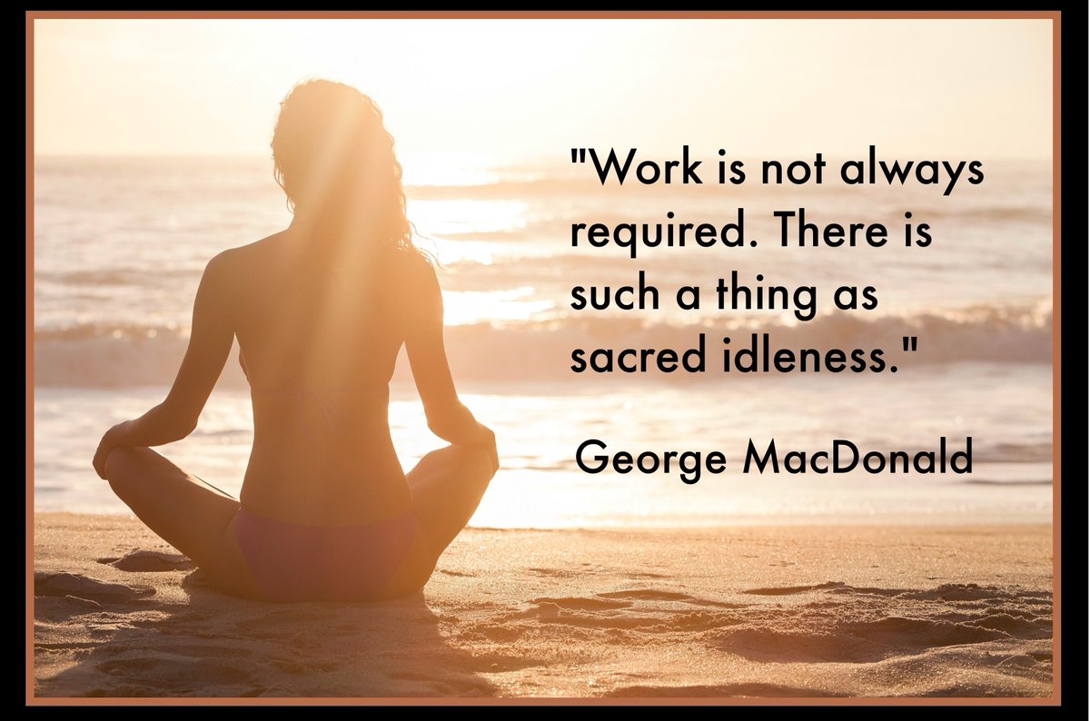 Ann Potts tweet media