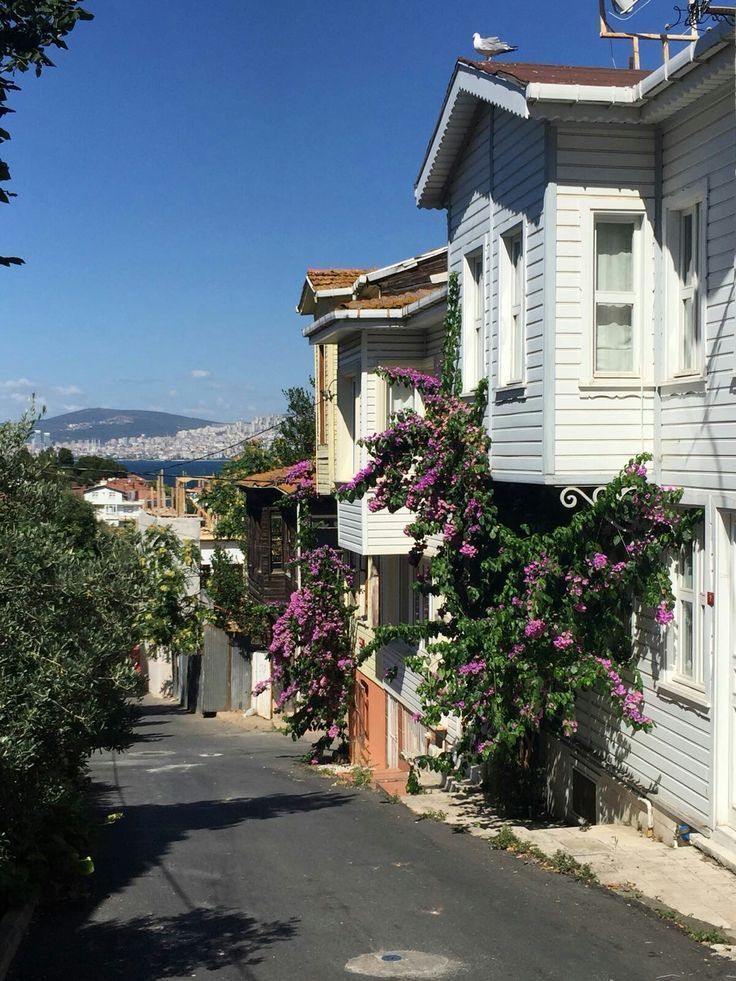MozartCultures's tweet photo. A day in Heybeliada, Turkiye https://t.co/eFkdwKieK3