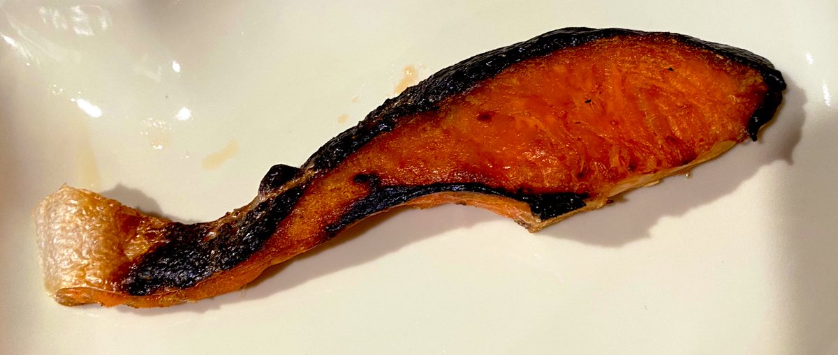 卵買い忘れたのできのこと野菜たっぷり卵なし雑炊と焼き鮭じゃ…っ

うまみみみみみみみみみみみみみみみみみ

初めて使うグリルじゃからちと焼きすぎてしもた 