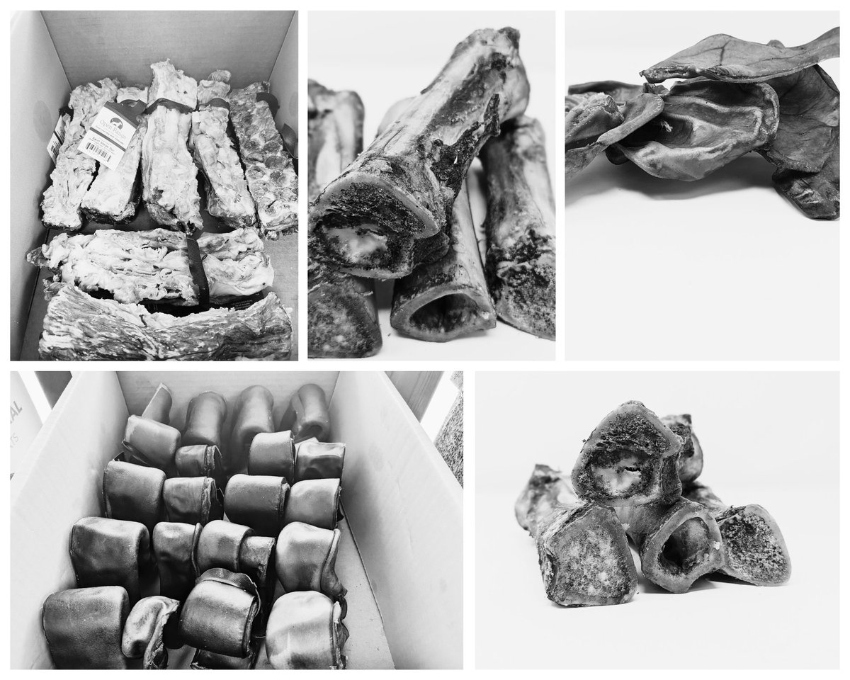 Muddy Paws Guildwood tweet media