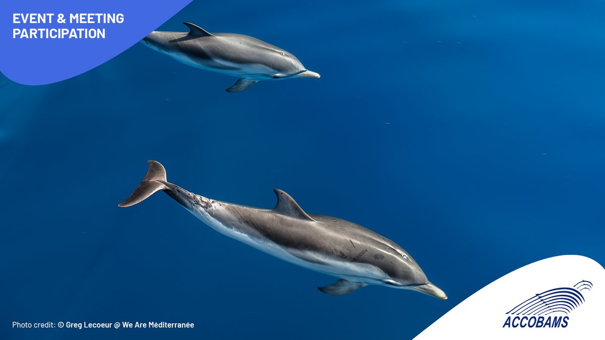 ACCOBAMS tweet media