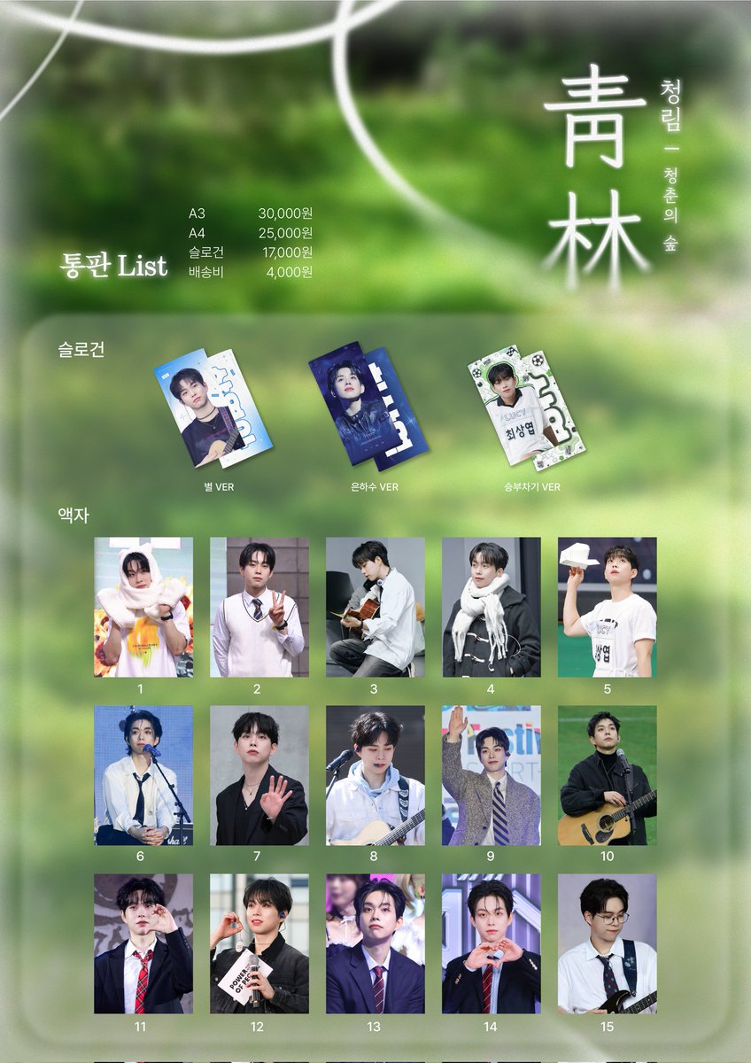 靑林(청림):청춘의 숲 tweet media