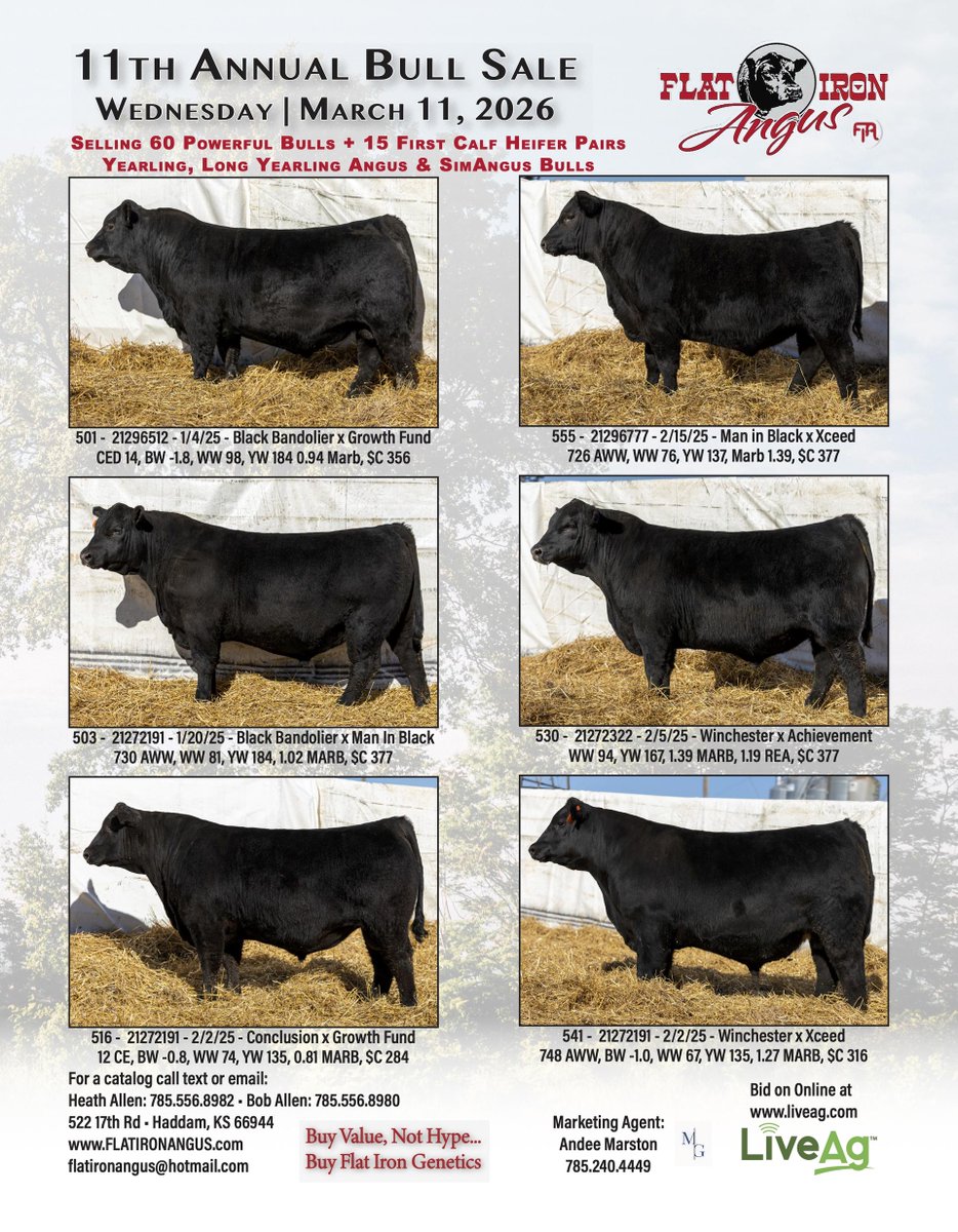 TheStockExchang's tweet photo. 11th Annual Angus Production Sale https://t.co/R2RmpwM5Ox https://t.co/8ZZ0kVsuJC