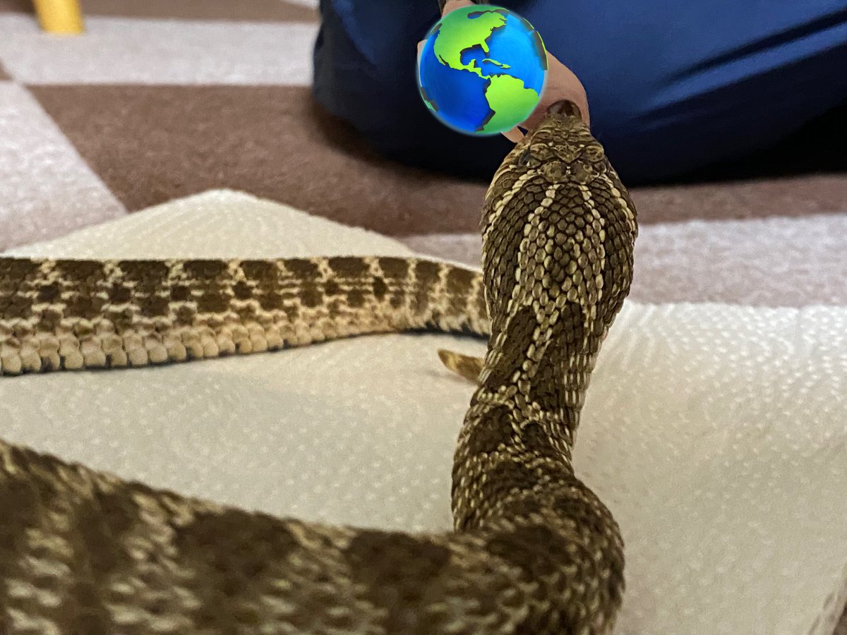 長田さん🐍ご飯タイム