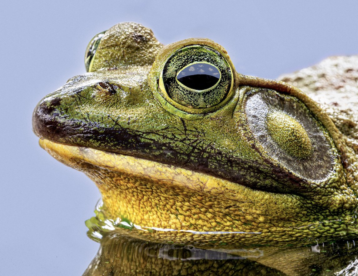 Metro Water District tweet media