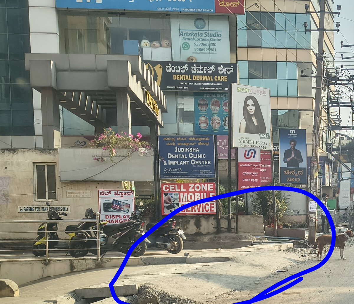 SaveBellandur(ಬೆಳ್ಳಂದೂರು ಉಳಿಸಿ) tweet media