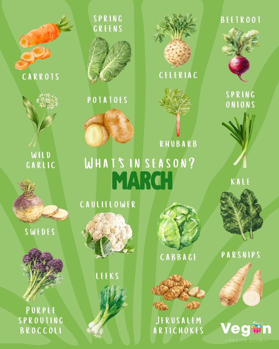 Viva!'s Vegan Recipe Club tweet media