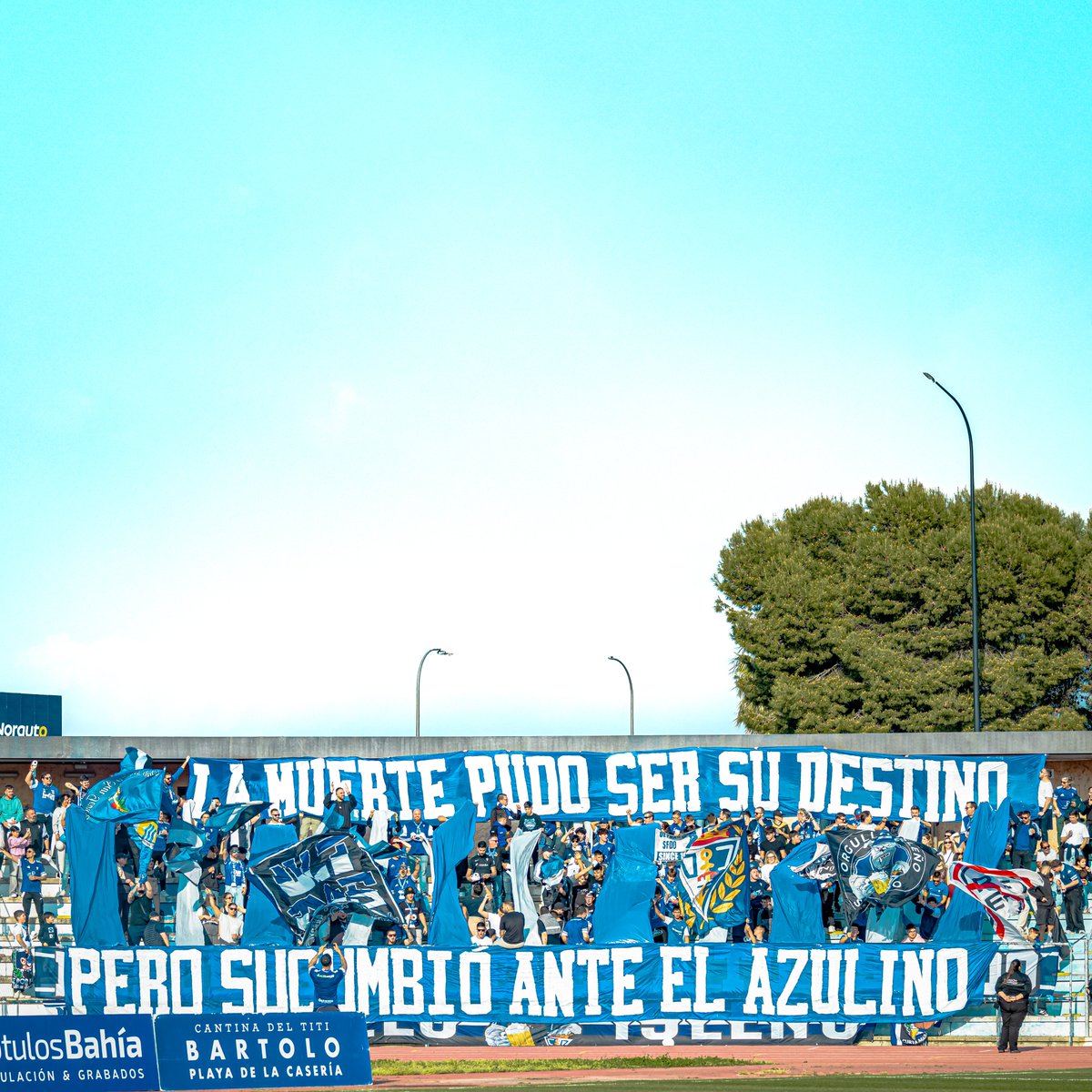 📢💙

𝐿𝑎 𝑚𝑢𝑒𝑟𝑡𝑒 𝑝𝑢𝑑𝑜 𝑠𝑒𝑟 𝑠𝑢 𝑑𝑒𝑠𝑡𝑖𝑛𝑜 
𝒑𝒆𝒓𝒐 𝒔𝒖𝒄𝒖𝒎𝒃𝒊𝒐́ 𝒂𝒏𝒕𝒆 𝒆𝒍 𝒂𝒛𝒖𝒍𝒊𝒏𝒐

#CDSanFernando1940