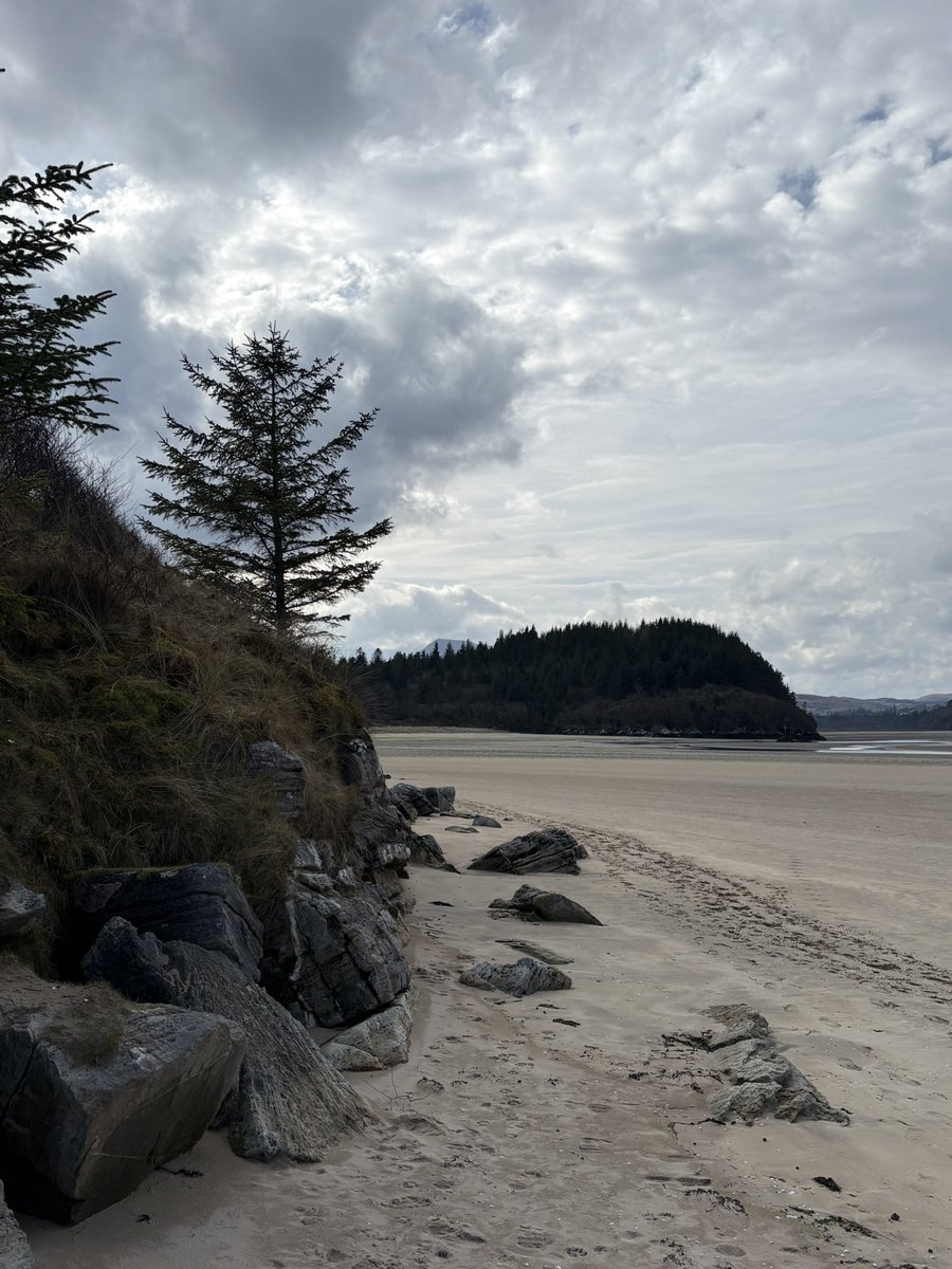 Joe Hunter tweet media