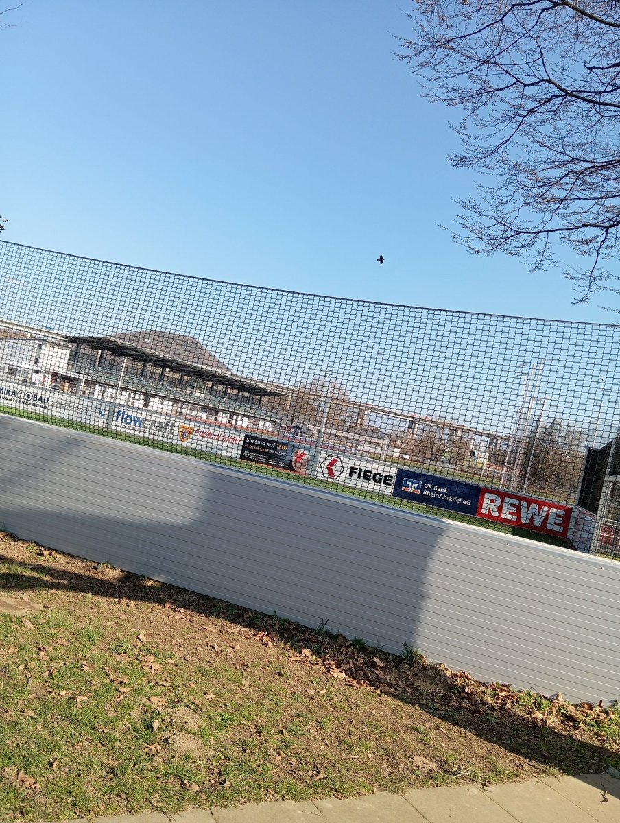 Jannis / SVOszn💚🤍 tweet media