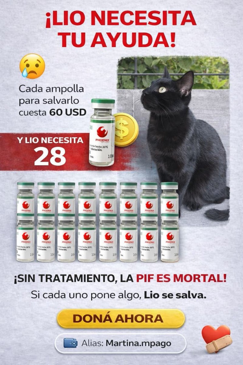 Mi gatito!! 🙏🙏