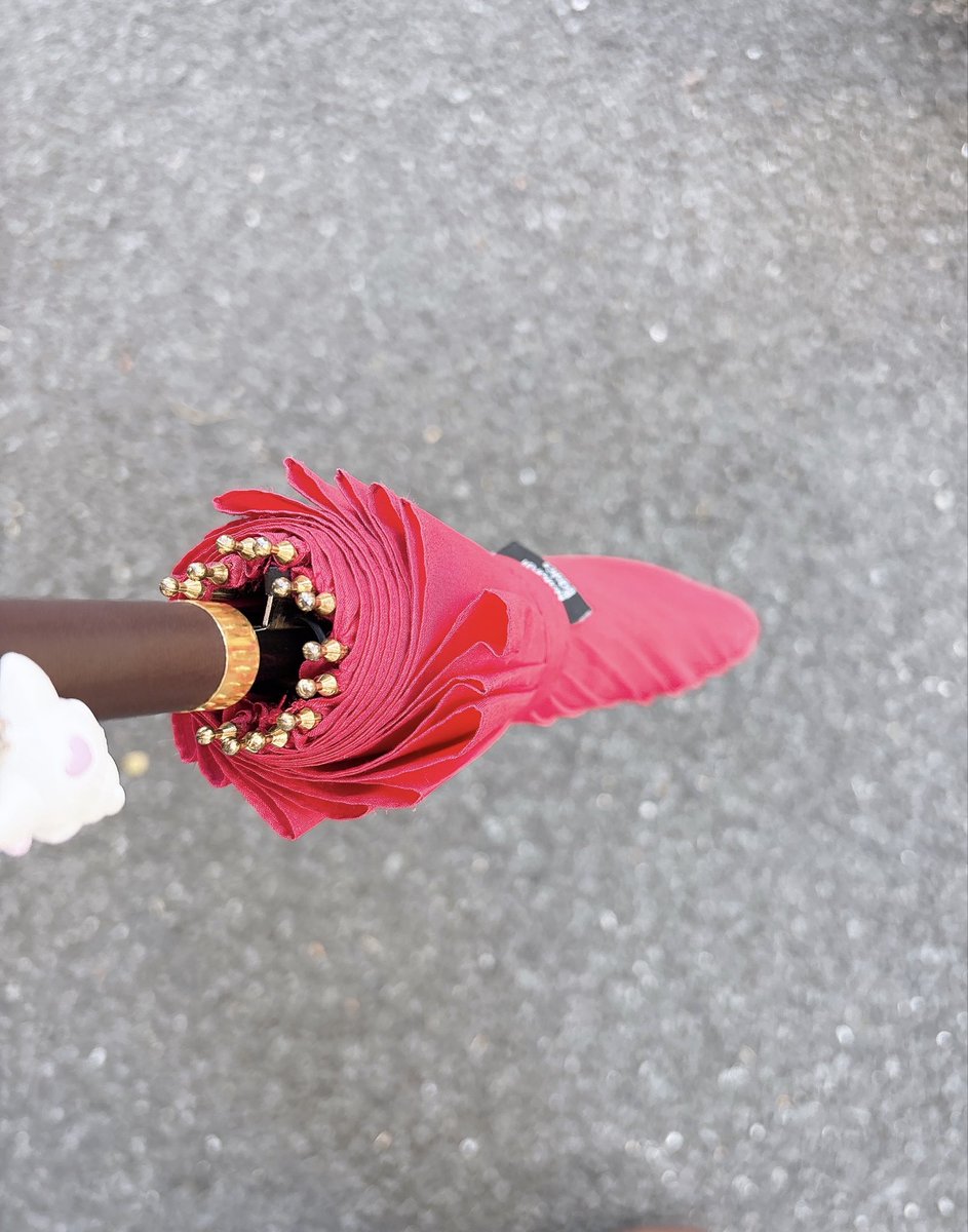 朝雨降ってたので傘を持って出かけたら気持ちいいくらいの快晴だったし、電車に乗ったら乗り過ごしてしまい猛ダッシュで戻りました😇😇

そういえば明日は
①一粒万倍日
②天赦日
③大安
④寅の日
が重なるスーパーラッキーデーらしいですね♪
いいことがありますように✨