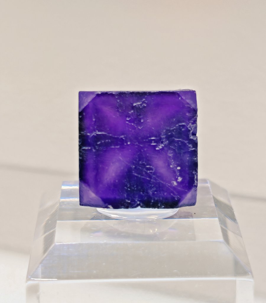 信一商事 tweet media