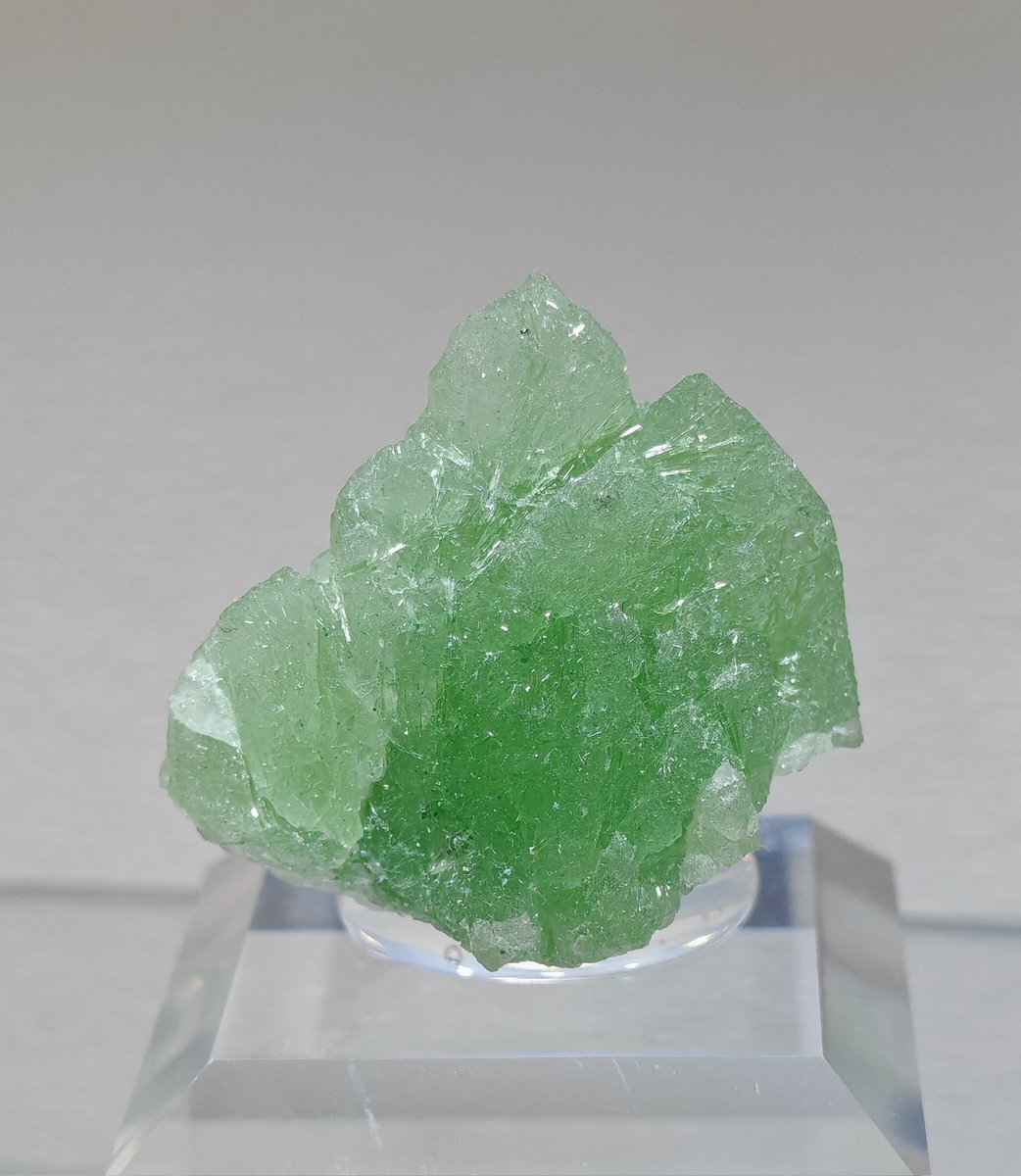 信一商事 tweet media