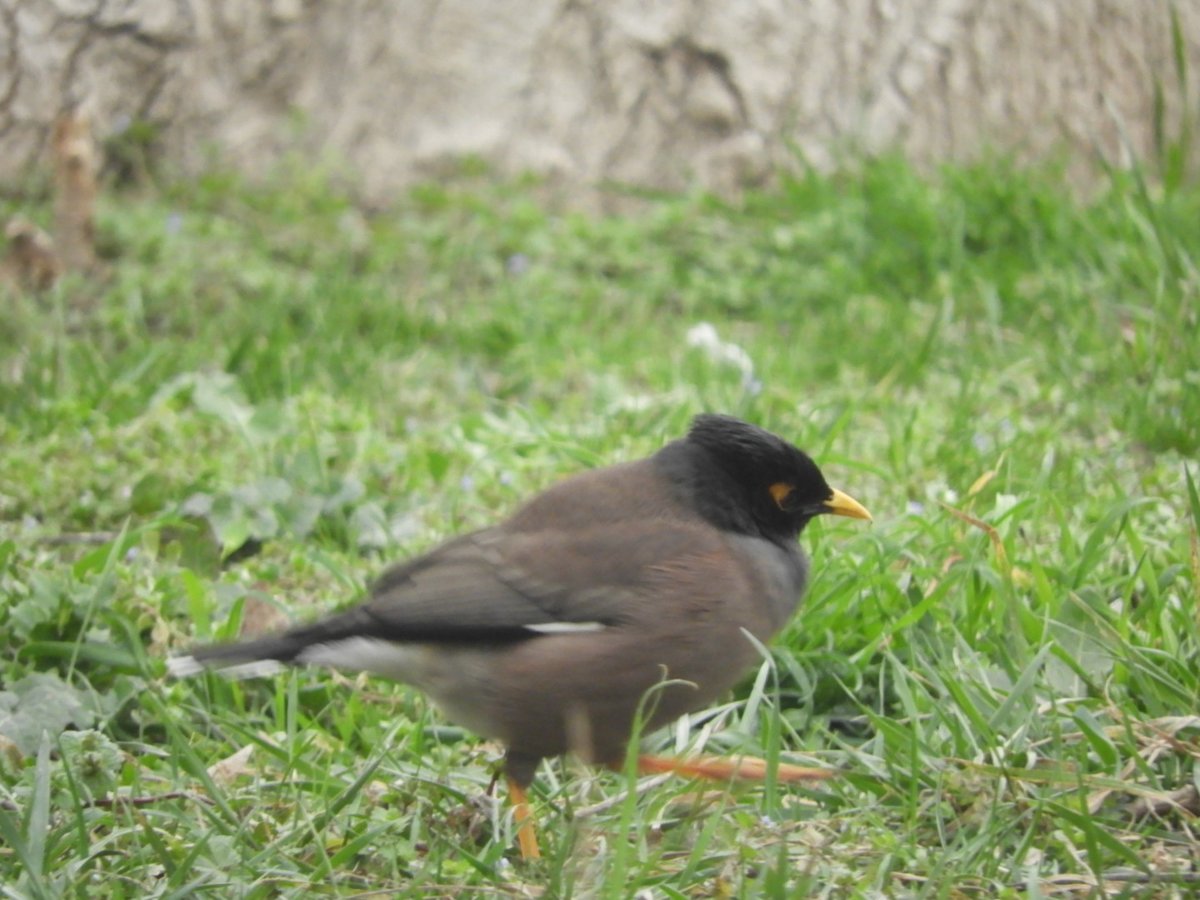 Dr Alison Raby tweet media