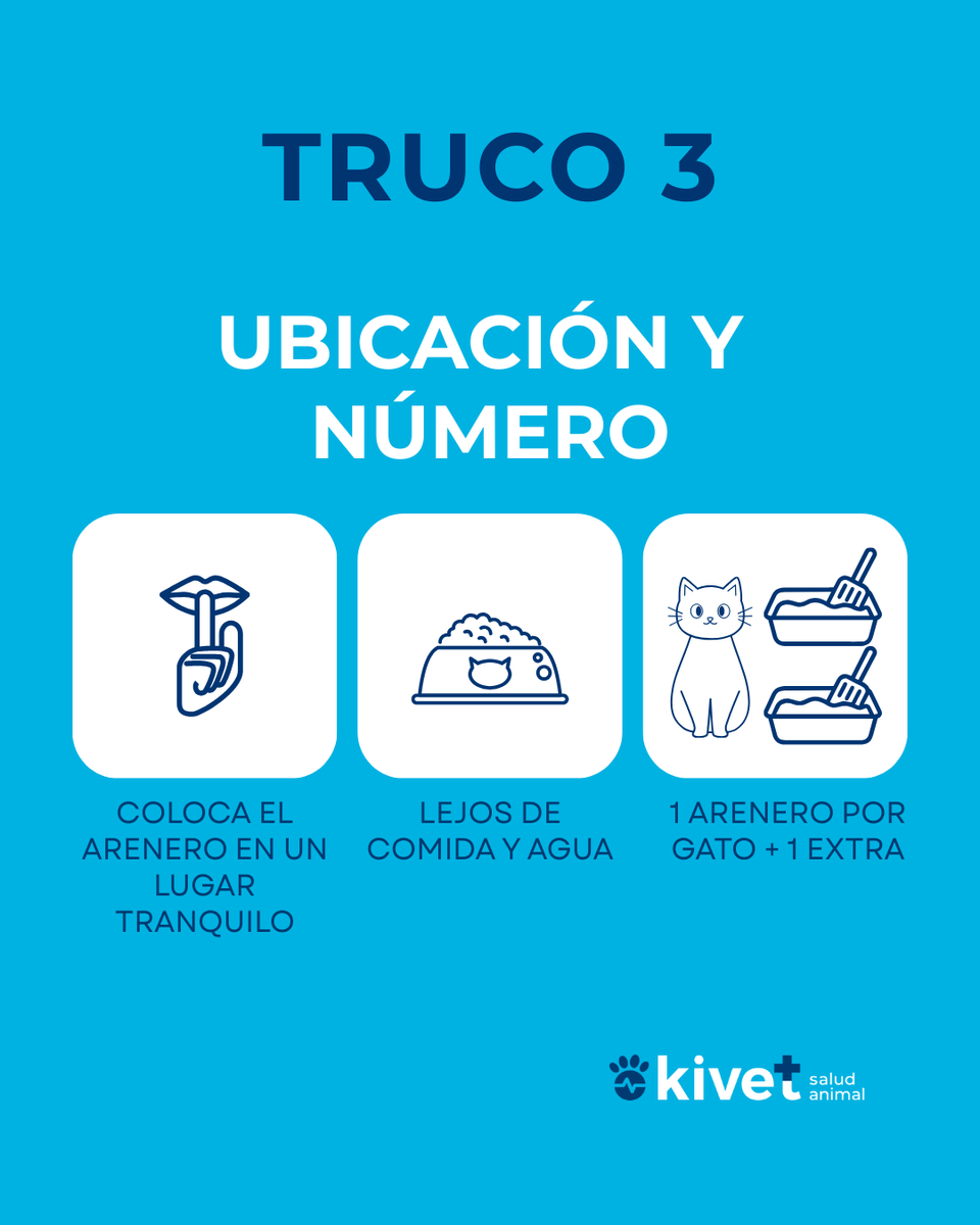 Kivet_'s tweet photo. 🐱🚽 El arenero importa más de lo que crees
Un arenero sucio o mal ubicado puede generar estrés y problemas de comportamiento. 
👉 Desliza y descubre
🕒 Cada cuánto limpiarlo
🐾 3 trucos para gatos exigentes 
#Kivet #Gatos #Arenero https://t.co/OK5Jkbt4N4