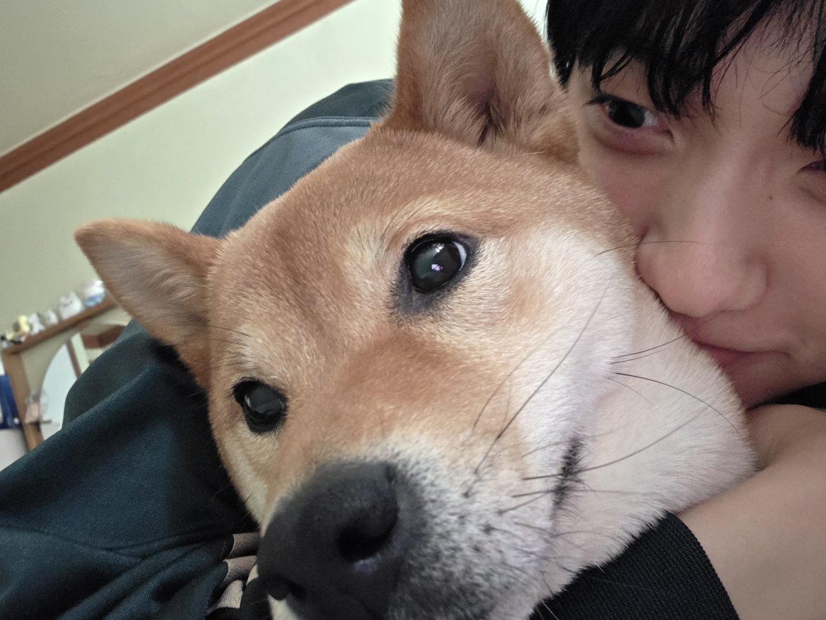 𝑨𝒖𝒃𝒆 tweet media