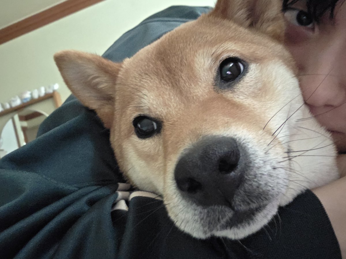 𝑨𝒖𝒃𝒆 tweet media