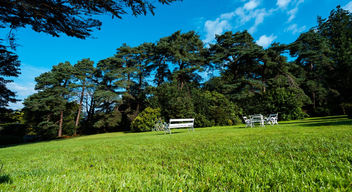 SeaviewHouseSpa's tweet photo. Slow down this spring at Seaview House Hotel ☀️

Peaceful mornings in the garden, relaxing afternoons in the spa, and delicious meals in our award-winning restaurant. Spring is the perfect time to escape, reset, and just enjoy the fresh air 😌

Book now at https://t.co/YrisdjAX1N https://t.co/VCLIlndNrR