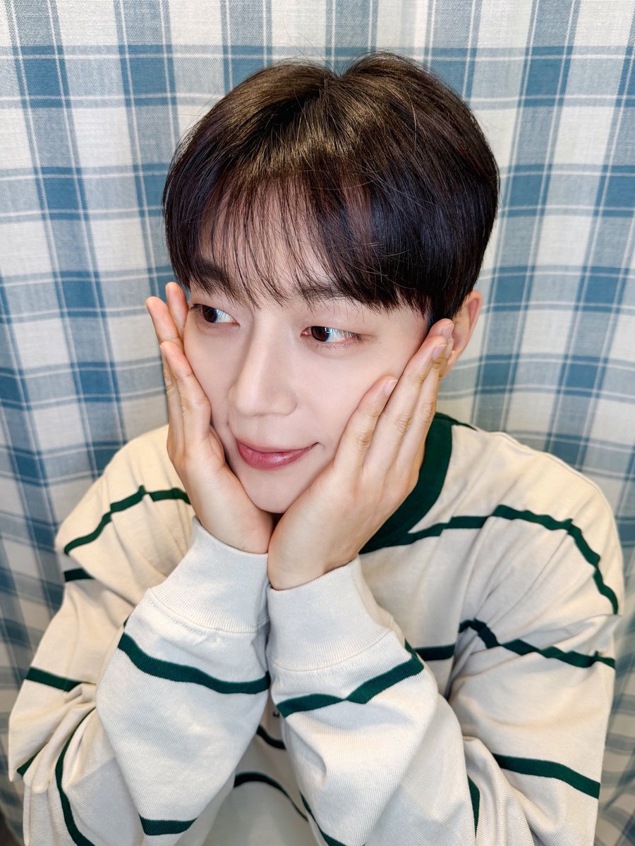 두부푸딩 tweet media