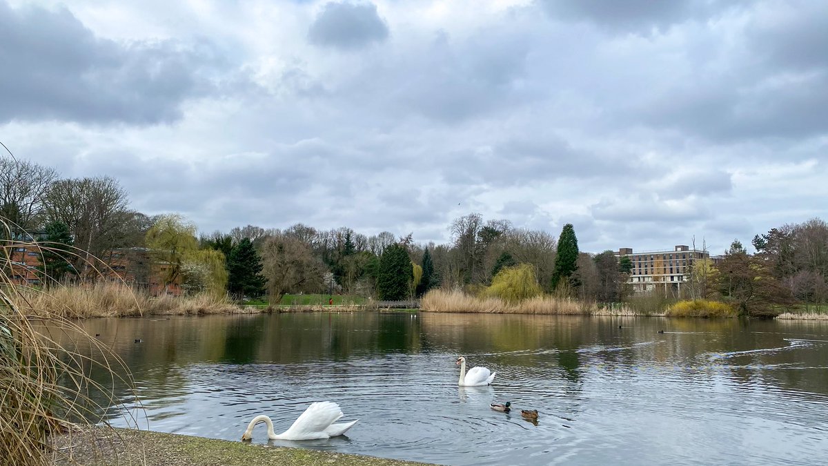 عِصام 🩺 tweet media