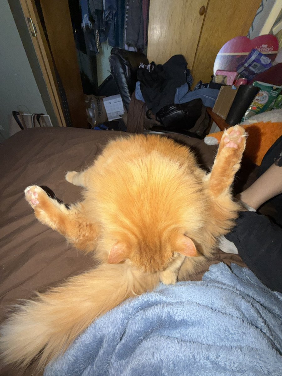 riven luna tweet media