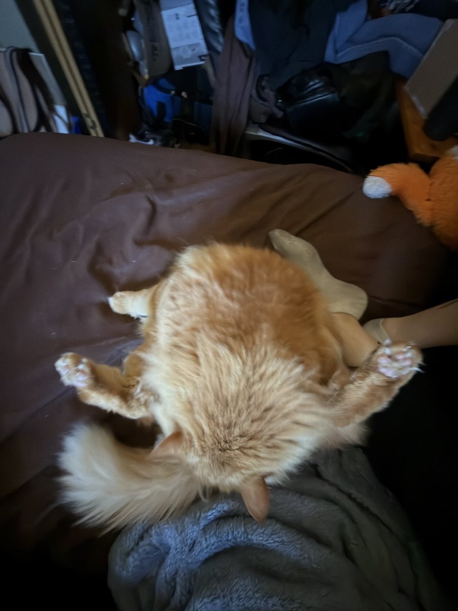 riven luna tweet media