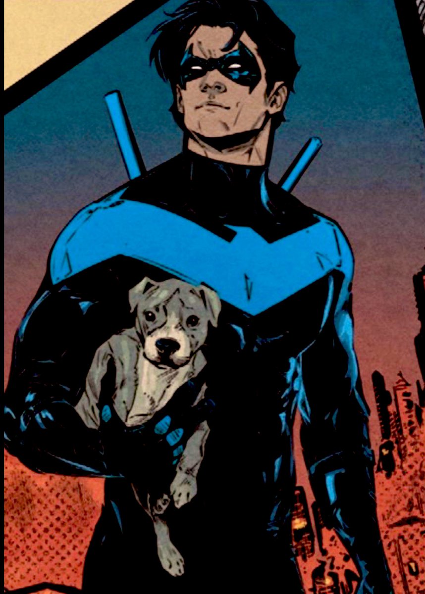 Richard “Dick” Grayson tweet media