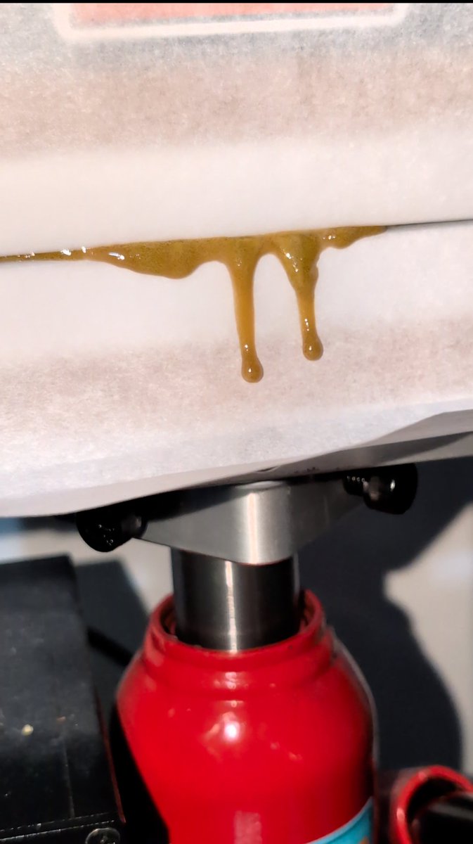 Novacotton tweet media