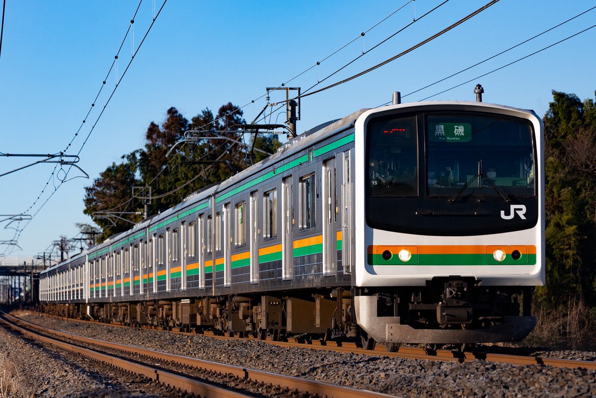 やまふじ① tweet media