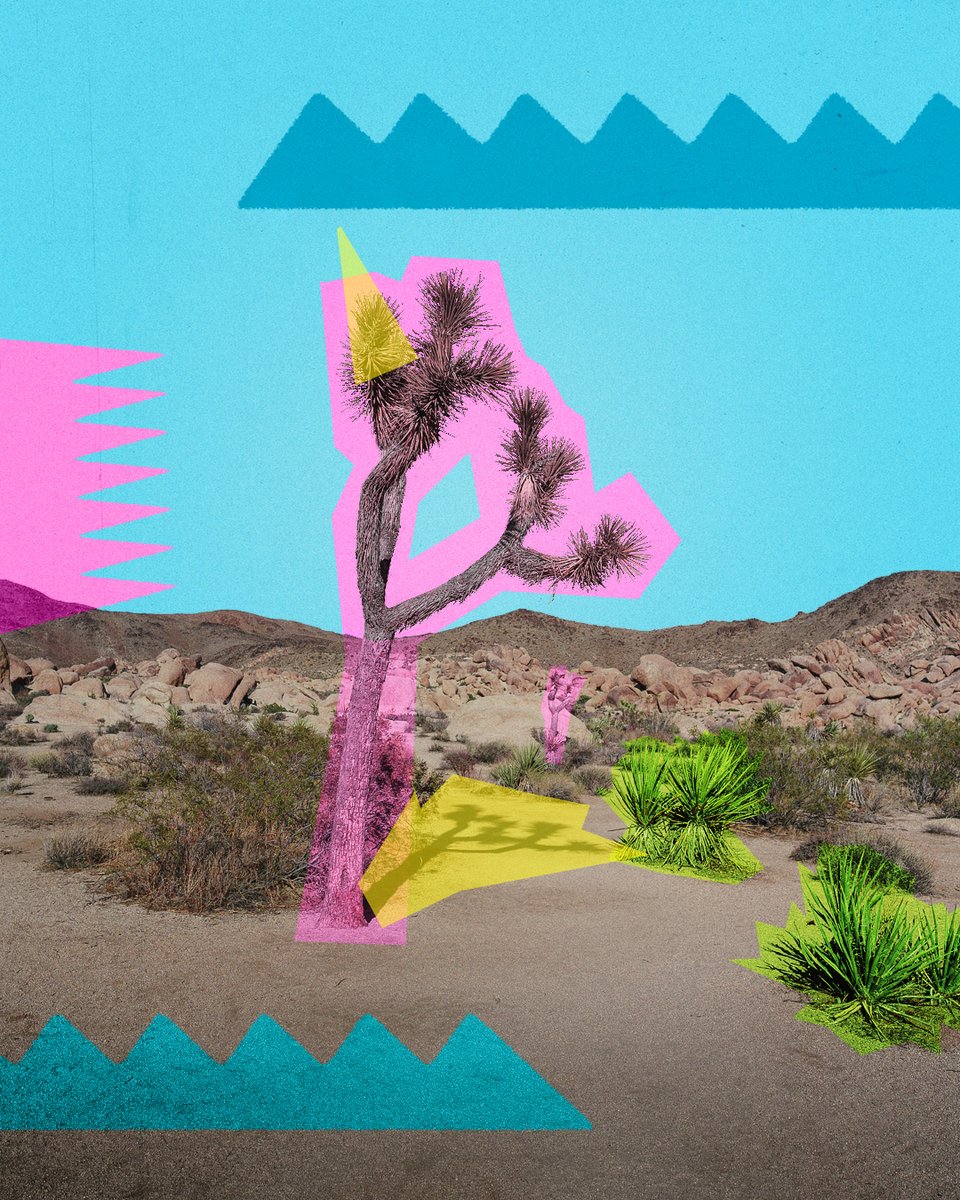 Tom Windeknecht 📷 tweet media