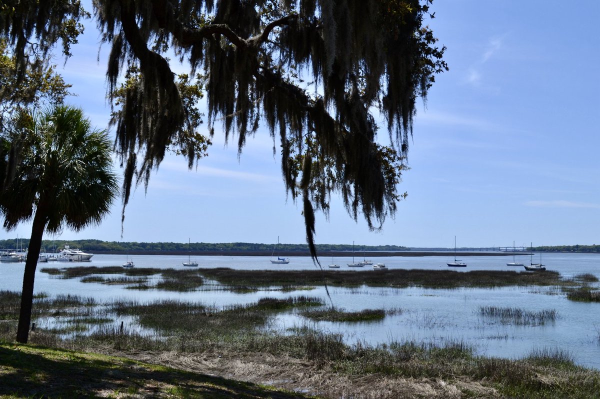 T. Walton tweet media