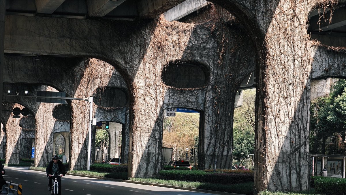 离岛islands tweet media