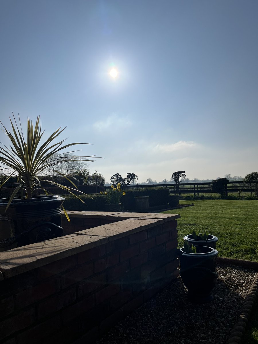 Tim Pollard tweet media