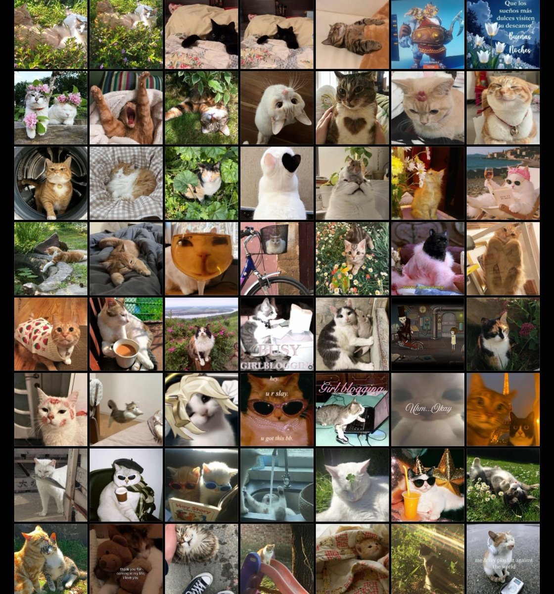 mar 𑄝 .ᐟ tweet media