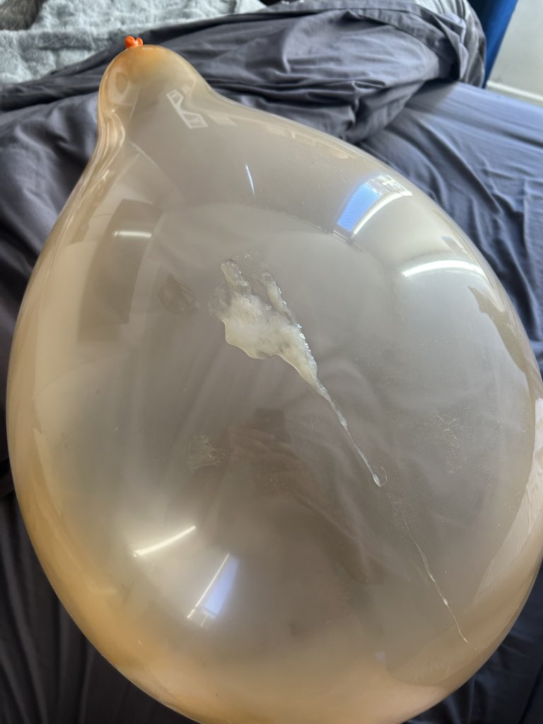 ZidaneLooner tweet media