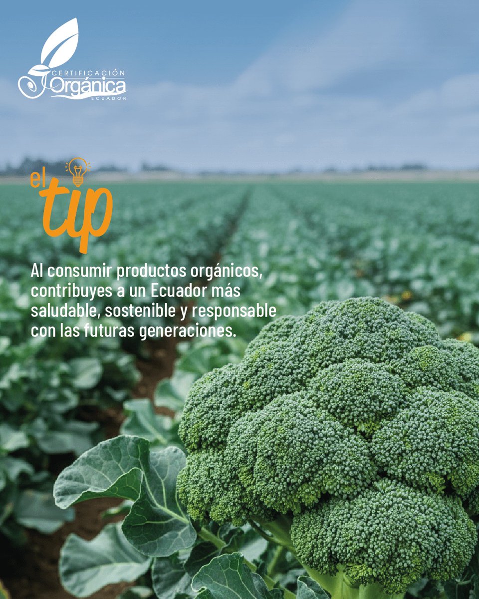 AgrocalidadEC's tweet photo. 🌱 Consumir productos orgánicos es elegir alimentos obtenidos bajo prácticas responsables que protegen la salud y el ambiente.
Cuida tu bienestar, #ConsumeOrgánico https://t.co/1RE4WWisxG